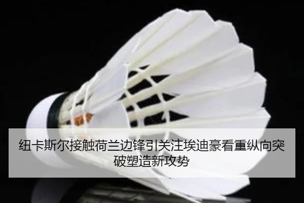 纽卡斯尔接触荷兰边锋引关注埃迪豪看重纵向突破塑造新攻势
